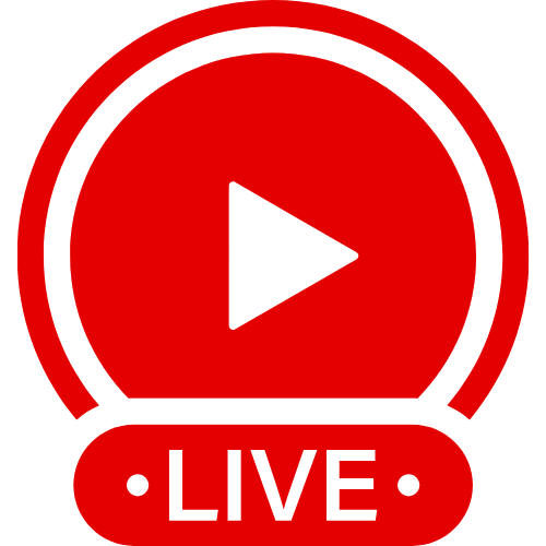 How To Talk To A Paypig | Live Webcam Shows & Interactive Adult Entertainment